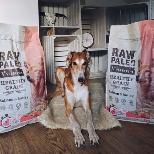 Raw Paleo Healthy Grain